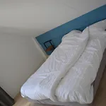 Comfortabel 6p Met Laadpaal *
